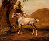 Grey Canvas Paintings - A Grey Stallion In A Landscape